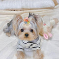 FGISAR 20 Pcs Small Dog Hair Bows with Rubber Bands Handmade Puppy Hair Bows Cute Grooming Flower Ball Bowknot Top Knot Dog Hair Accessories Hair Ties for Yorkie Maltese Pet (Pink)