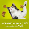 Purina Friskies Party Mix Morning Munch Crunch Egg, Bacon and Cheese Flavors Cat Treats - 30 oz Canister
