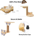 Cat Window Hammock Bed 4pcs/Set Cat Window Perch for Indoor Cats Seat with Two Shelves and One Scratching Post Sunction Cup Mounted