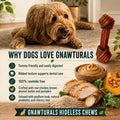 Rawhide Free Dog Chews | Ribbed Bones | for Medium - Large Dogs | Pumpkin, Psyllium Husk and Chicory Root for Easy Diges