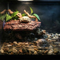 2-Pack Turtle Basking Platform, Basking Rock for Turtle Tank with Suction Cups, Bark & Stone Design Resin Tortoise Climb
