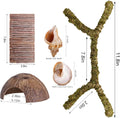 Hermit Crab Accessories – 5PCS Natural Hermit Crab Toys Climbing Bridge, Shells, Coconut Hideout, Moss and Plants for He