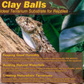 ZeeDix 2 LBS Leca Clay Balls for Reptile & Terrarium Substrate