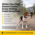 Educator ET-300 Black Mini E Collar for Dog Training with Remote - 1/2 Mile Range, Waterproof, 100 Blunt Stimulation Lev