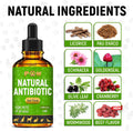 Antibiotics for Dogs | Antibiotics for Cats | Herbal Supplement for Digestion, Breathing, Urination | for Infections, Cough, Allergies | Beef Flavor & Cranberry | for All Pet Breeds | 2 Oz