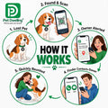 Pet Dwelling Elite Pro Pet ID Tag with Smart QR | Real-Time Scan Alerts | Dual Ring Attachment | Digital Pet Profile