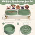 Elevated Slow Feeder Dog Bowls with Splash Proof Stand, Slow Eating 5X