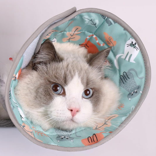 PawsPik Adjustable Soft Recovery Cone for Dogs & Cats, Small, Light Blue