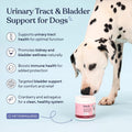 Pawfy Cranberry D-Mannose Dog Supplement - Urinary Tract & Bladder
