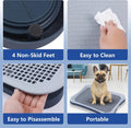 Pee Pad Holder, Indoor Potty Tray for Puppy and Small Size Dog with Pee Wall, Non-Skid Feet, 20x15.4x1.4 inch