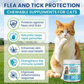 Chewable Flea Treatment for Cats Flea and Tick Prevention for Cats Chewables Fleas Chewables for Cat of All Breeds and A