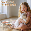 Wellbro Cat Food Bowls, 2 Pcs Stainless Steel Cats Food and Water Whisker Fatigue Shallow Dishes, Small Dog Puppies Fat Faced Cat Kitten Supplies (2 Plates with Stand)