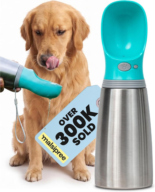 MalsiPree Leak Proof Stainless Steel Portable Dog Water Bottle - 24 oz, Blue Water Dispenser for Pets - Outdoor Dog Travel Water Bottle - for Trail Hiking, Park Visit & Beach Days