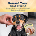 Blue Buffalo True Chews Premium Jerky Cuts Dog Treats with Natural Ingredients Chicken