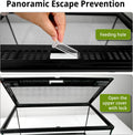 Reptile Glass Tank 20"*12"*10" Pre-Assembled Terrarium for Turtle,Hermit Crab,Bearded Dragon,Gecko,Lizard,Snake,Spider,F