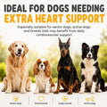maxxipaws - maxxicardio Heart Support for Dogs (Small Size) – Taurine + L-Carnitine + Hawthorn + Ginkgo – Helps Support Circulation, Energy & Stamina – Easy Mix Powder – Made in USA – 3.2 oz