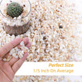 CJGQ 2.4lb Aquarium Gravel for Plants, 1/5Inch Outdoor Decorative River Rocks for Succulents and Cactus Landscaping, Gar