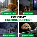 Hemp Calming Chews for Dogs - 240 Treats - Advanced Dog Calming Chews - Anxiety Relief Supplement Treats with Melatonin - Sleep Aid for Separation, Barking, Stress, Hip and Joint Support Made in USA