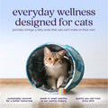 Austin and Kat Omega-3 Feline Formula for Cats, Fish Oil, 2 fl oz​