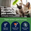YuMOVE Cat Hip & Joint Supplement, ActivEase Green Lipped Mussel Capsules with Glucosamine, Hyaluronic Acid & Omega 3, Mobility Support for Kittens, Adult & Senior Cats, 60 Count