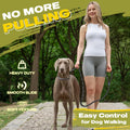 Fida Durable Slip Lead Dog Leash, 6 FT x 1/2" Heavy Duty Dog Loop Leashes, Comfortable Strong Rope Slip Leash for Large Medium Dogs, No Pull Pet Training Lead with Highly Reflective(1/2", Black)