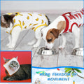 Kacctyen 6 Pack Cat Recovery Suit After Surgery Anti Licking,Fruit