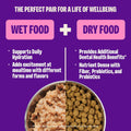 Wellness Complete Health Pate Variety Pack Kitten Canned Wet Cat Food, Natural, Protein Rich, Grain Free, Whitefish and 