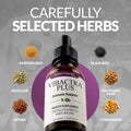 Amber NaturalZ Vibactra Plus Herbal Supplement for Dogs, Cats, Birds, Guinea Pigs, and Rabbits | Herbs for Immune Health and Yeast Balance | 1 Fluid Ounce Glass Bottle