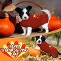Sanwuta 3 Pcs Halloween Thanksgiving Christmas Dog Kint Sweaters Sets, S
