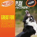 Nerf Dog Zone Flyer Dog Toy, Flying Disc, Lightweight, Durable and Water Resistant, Great for Beach and Pool, 10.5 inch 