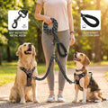 iRipets Double Dog Leash No Tangle – 360° Swivel Dual Lead for Two Dogs with Shock Absorbing Bungee & Reflective Stitching | Small Medium Breeds (10–60 lbs, Black)