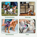 Washable Reusable Female Dog Diapers(5 Pack) Small Medium Large Doggie Puppy & Doggy Dog Diaper, Period Panties in Heat 