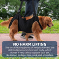Full Body Lift Harness for Dogs,Canine Support Rehabilitation Dog Carrier Slings with Handles,Adjustable Lifting Straps 