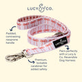 Lucy & Co. Designer Dog Leash - Pet Accessories - Thick Dog Leash - Padded Handle for Comfort - Ballet Bows - 5 Foot (Wh