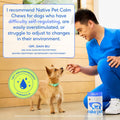 Native Pet Calming Chews for Dogs - Promotes Calming Effect, Supports Emotional Balance & Reduces Hyperactivity - Hemp S