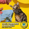 Temptations MixUps Crunchy and Soft Cat Treats, Catmas Casserole, 16 oz