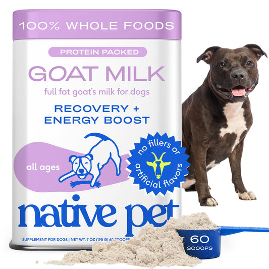 Native Pet Goat Milk Powder - Dog Food Topper for Active Dogs - Post-Activity Recovery, Energy, Immune Support, Hydration & Bone Health - Whole Goat Milk with MCTs & Essential Minerals - 60 Scoops