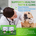 Petstoral 2-Pack Natural Dog Dental Powder for Plaque Removal