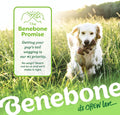 Benebone Fishbone Durable Dog Chew Toy for Aggressive Chewers
