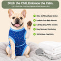 PetWarm Post Spay Dog Suit Female, Dog Onesie for Spay Neuter, Recovery Suit for Female Male Dogs Bodysuit for Abdominal Affected Areas Sensitive Skin Areas, Galaxy Pattern, Blue, XS