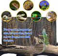 Reptile Tank Background Board Rock Terrarium Cork Background Board 3D Wall Backdrop Aquarium DéCor Backgrounds Amphibian