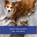 Farnam Flys-Off Insect Repellent for Dogs and Cats 8 Fluid Ounces