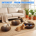 Cat Scratcher Cardboard, Kitty Curls Cat Toy for Indoor Cats