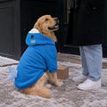 PUMYPOREITY Shark Hoodie for Dogs Warm Fleece Halloween Costume