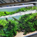 Sliverdew 6 PCS Aquarium Lid Clips, 6mm Clear Acrylic Fish Tank Lid Holder Aquarium Cover Support Clamps for Rimless Aqu