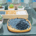 3lb Black Cactus Pea Gravel Rocks,1/4 Inch Pebbles for Indoor Plants, Natural Succulent Rock and River Rocks Decorative 