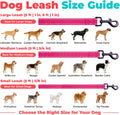 Best Pet Supplies Voyager Reflective Dog Leash or Collar with Neoprene Handle, for Small, Medium, and Large Breed Puppies, Cute and Heavy Duty for Walking, Running and Training - Fuchsia (Leash), S