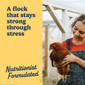 Manna Pro Hydro-Hen Poultry Supplement, Digestive & Probiotic, 20 oz