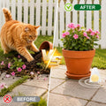 Cijoaui 12 Pcs Natural Cat Deterrent Balls - Peppermint Oil Scent, Plant-Based Repellent for Outdoor & Indoor Yard, Garden & Furniture Protection