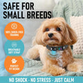 No Shock Bark Collar for Small Dogs 8-40 lbs - Beep & Vibration, Smart Screen, 5 Sensitivity, Anti-False Trigger, Magnet